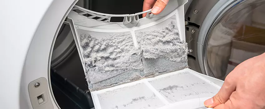 Best Dryer Lint Removal Company in Bonney Lake, Washington