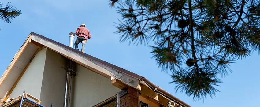 Birds Removal Contractors from Chimney in Bonney Lake, WA